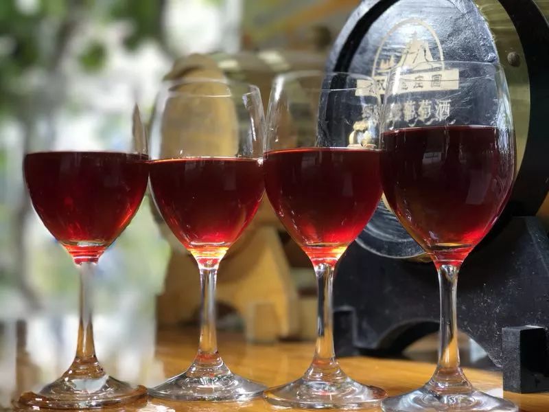 抓螃蟹的方法您知道几种,抓螃蟹的方法儿童