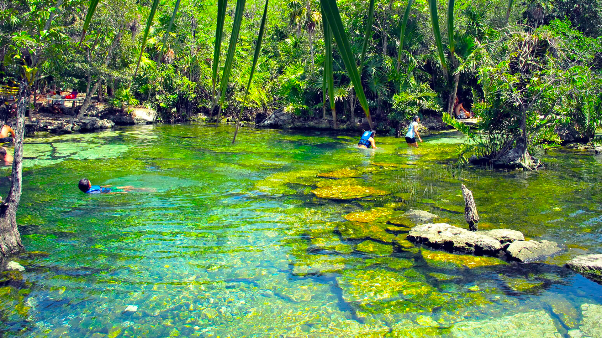 探索玛雅,玛雅文明与天然井