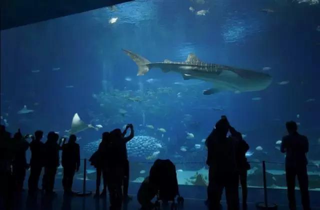 广州长隆旅游攻略详细图,广州长隆自由行旅游攻略