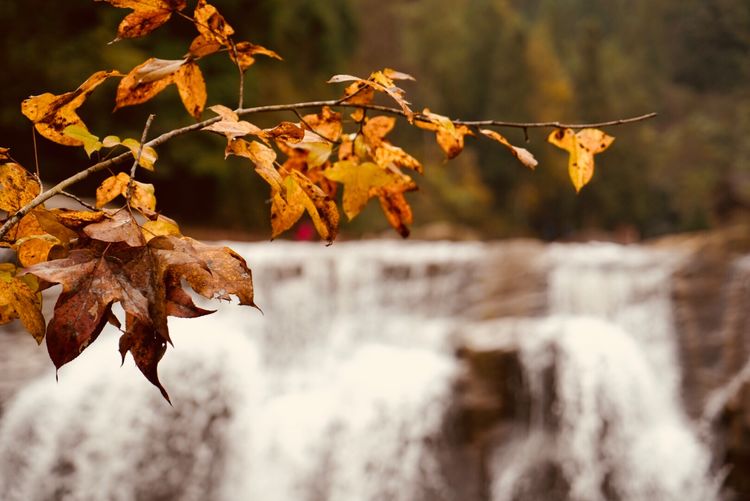 温州三八节免费景点,三八节好玩的地方温州