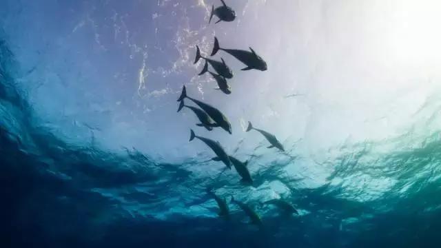 外媒评出的这几部最新大片和好剧,简直是过冬必备