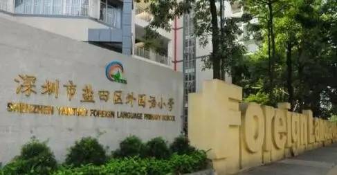 深圳的外国语小学和中英文学校,深圳外国语小学教学怎么样