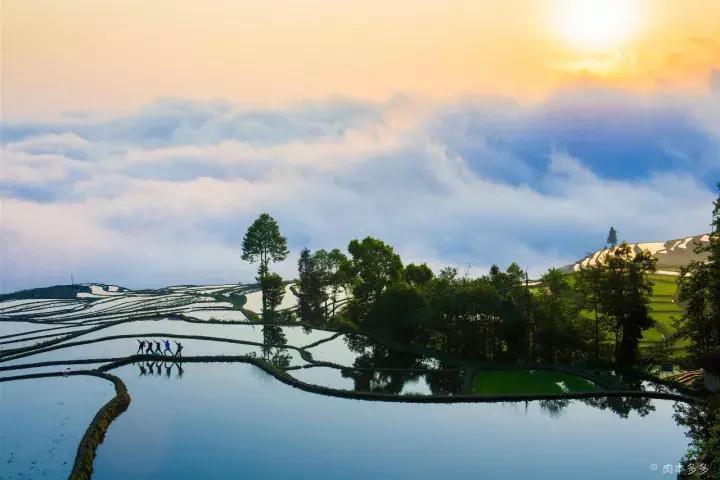 云南冬天的梯田 (云南冬季山坡梯田)