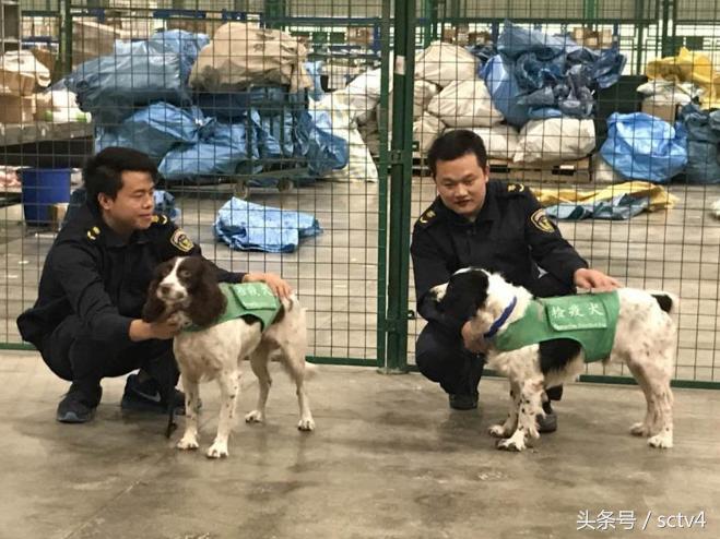 跨境海淘商品海关能验出真假吗,海淘产品海关检疫