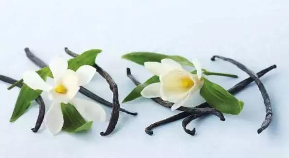 1000多天才能开花的天然香料，为什么在甜品中会被误会成脏东西？