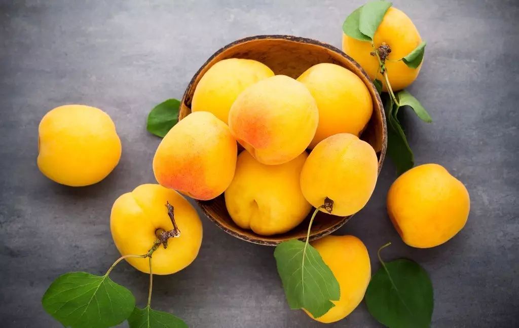 上海松江未来地铁线路图2025超清,上海各区旅游地铁线路图