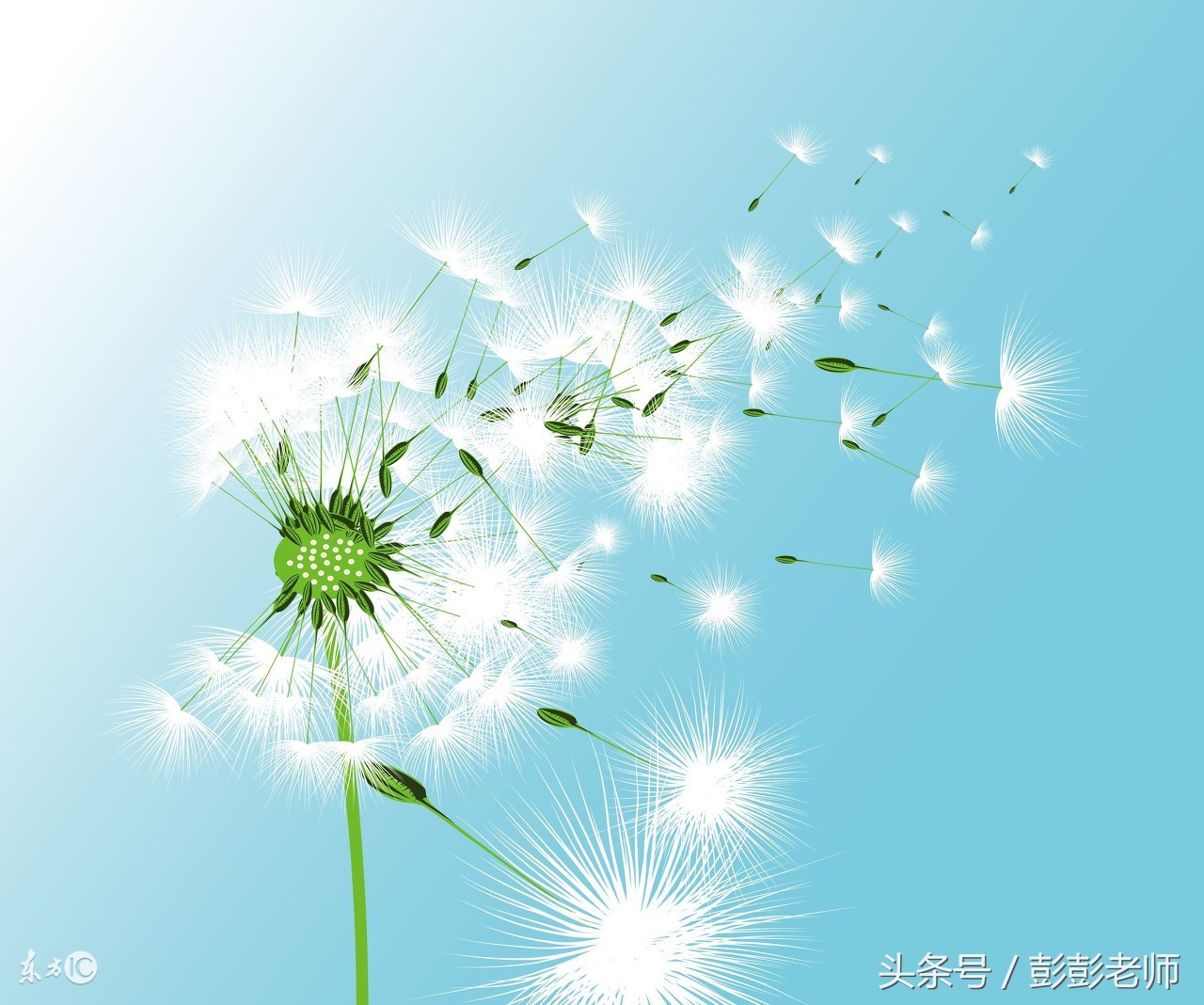 参加什么培训机构最有前途,有多少学生才能称得上培训机构