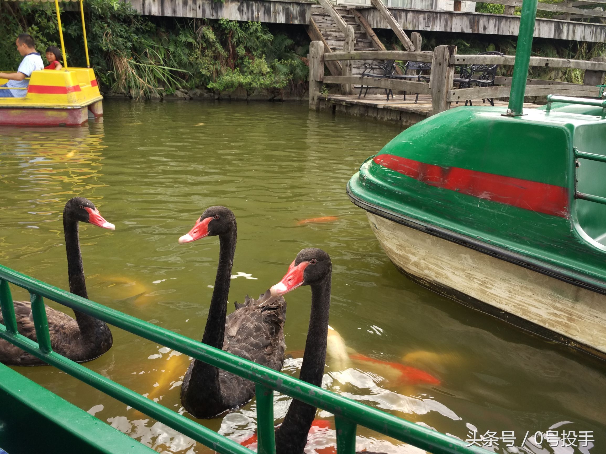 佛冈森波拉奇妙世界图片,森波拉奇妙世界景区