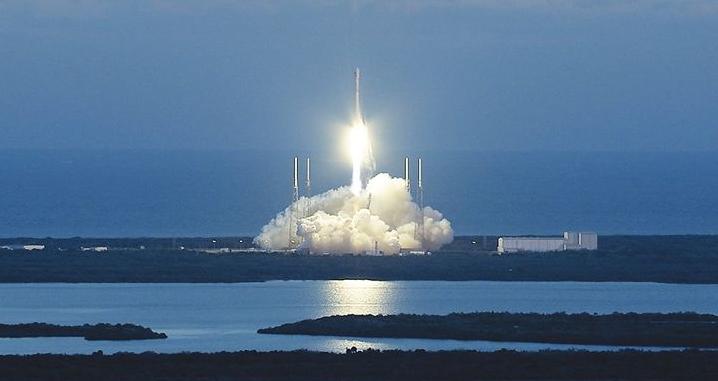 中国有哪些进入太空的动物,那些年登上太空的动物