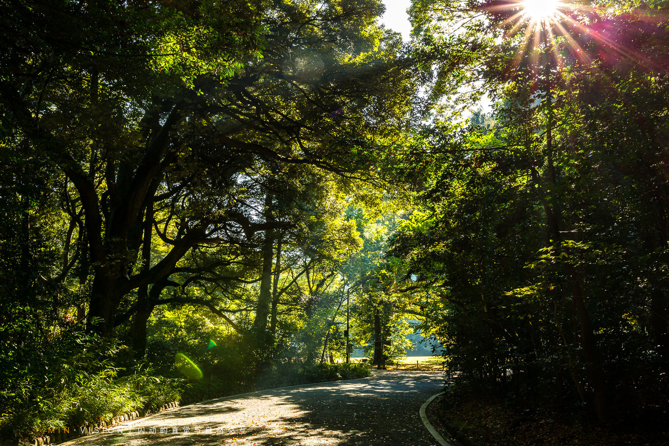去东京玩用什么攻略,东京攻略东京