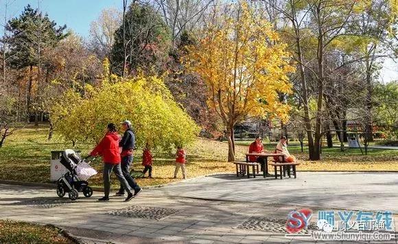 北京顺义最美的景区,顺义最美的国家森林公园