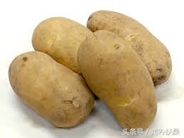 “男爵”和“五月皇后”:北海道土豆的头衔真是高大上