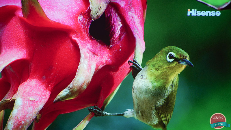 寰哺m1鎶曞奖璇勬祴,寰哺鎶曞奖m1f1瀵规瘮