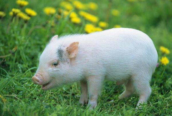 众说纷纭真相不得而知,众说纷纭该信谁