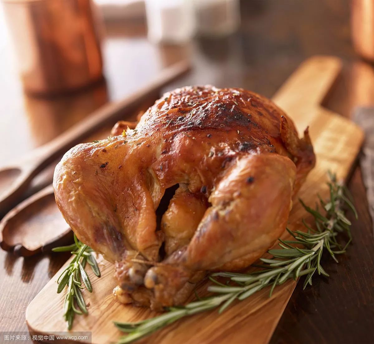 「不正确周报」第四十期：动物世界特辑：挂狗的求生之路