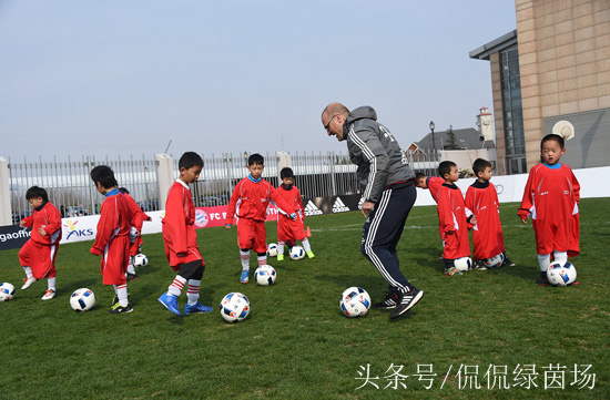 卡纳瓦罗什么时候进世界杯,卡纳瓦罗有没有世界杯