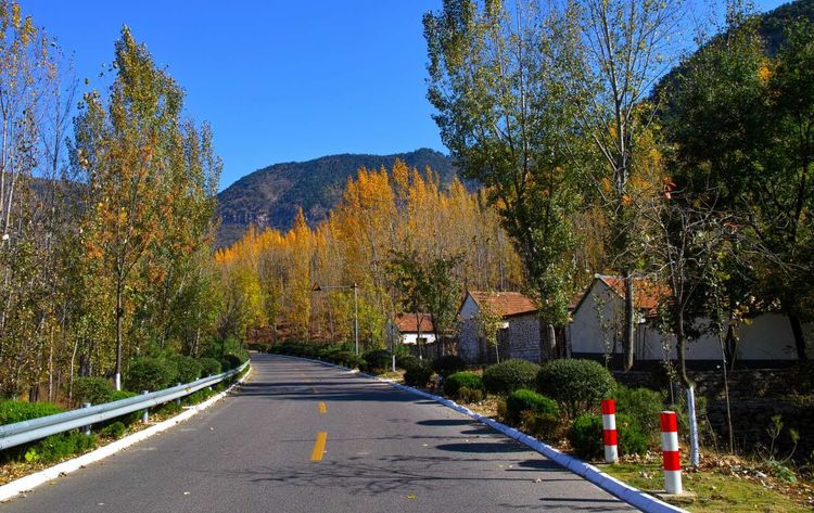 金秋沂南,诗意流淌有那么一群爱美的人,把秋季沂南送到你面前