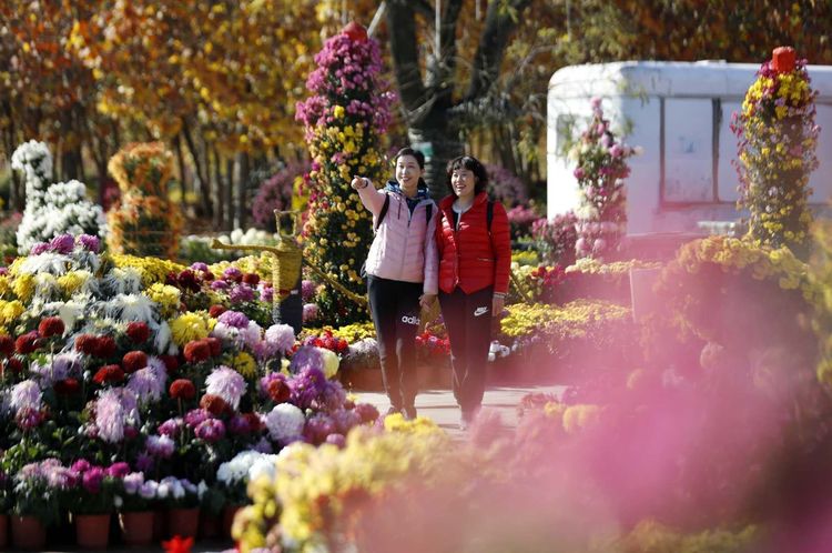 金秋沂南,诗意流淌有那么一群爱美的人,把秋季沂南送到你面前