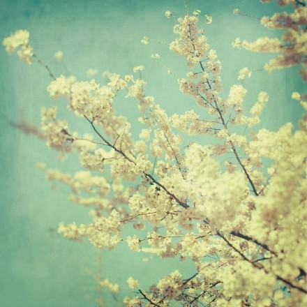 最近很喜欢的一段话建议收藏,喜欢记得点赞收藏的句子