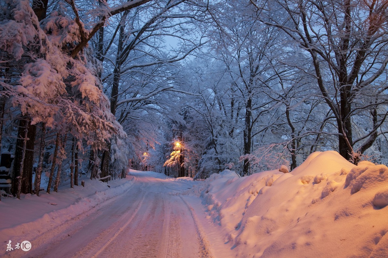 日本海淘到国内后的流程,想在日本海淘数码产品
