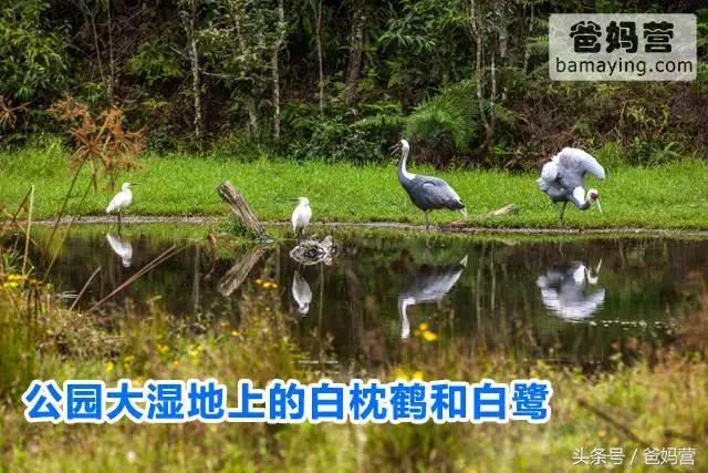 江浙沪十佳亲子酒店,适合亲子酒店推荐