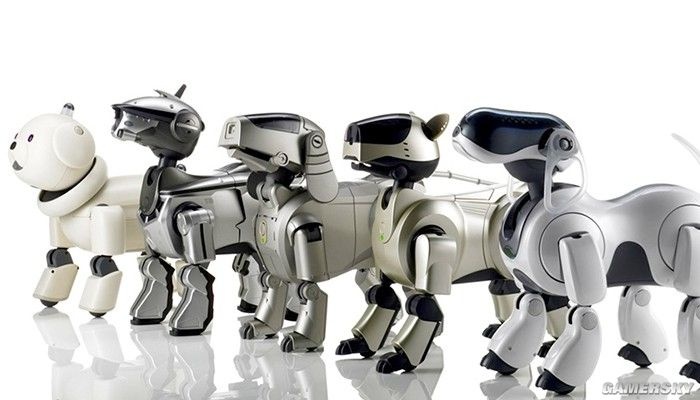 比起在座的诸位它才是一条真“索狗”