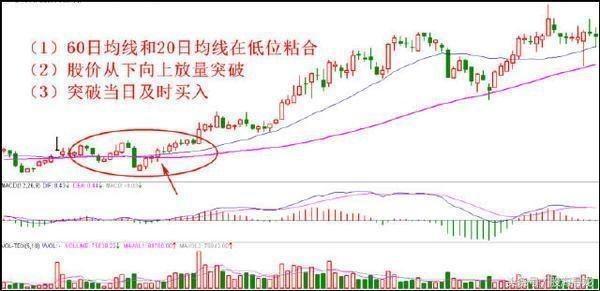 抓住强势牛股的最好方法,日线捕捉牛股的方法
