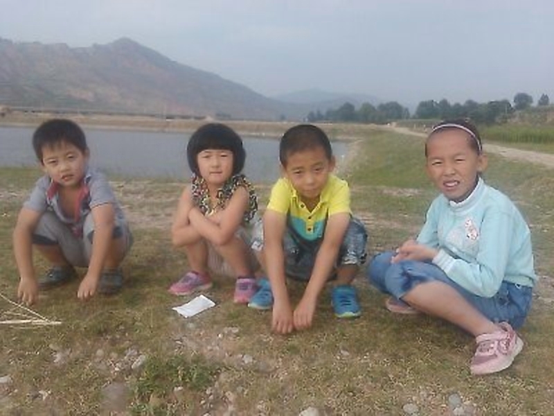 甘肃赏田园风光感受乡村魅力,甘肃渭源风景图片大全