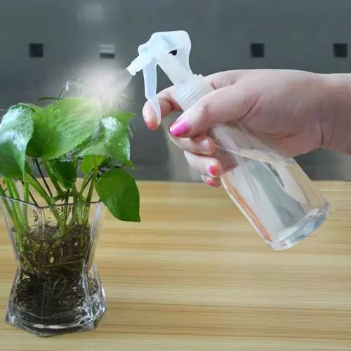 绿植,最安全健康“保护伞”