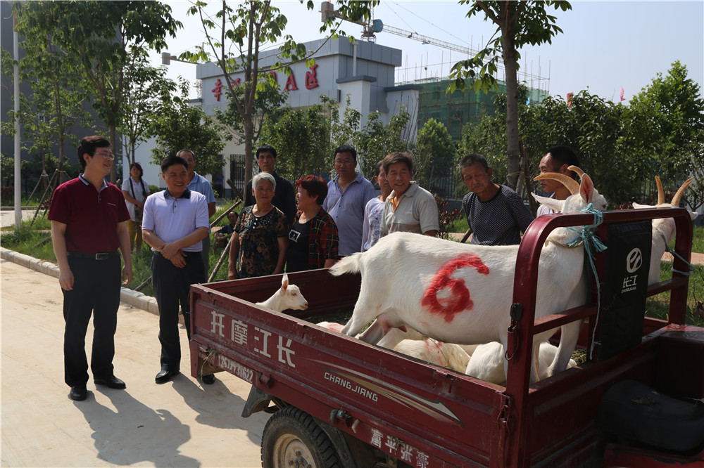 富平县财政局荣获“全国文明单位”称号