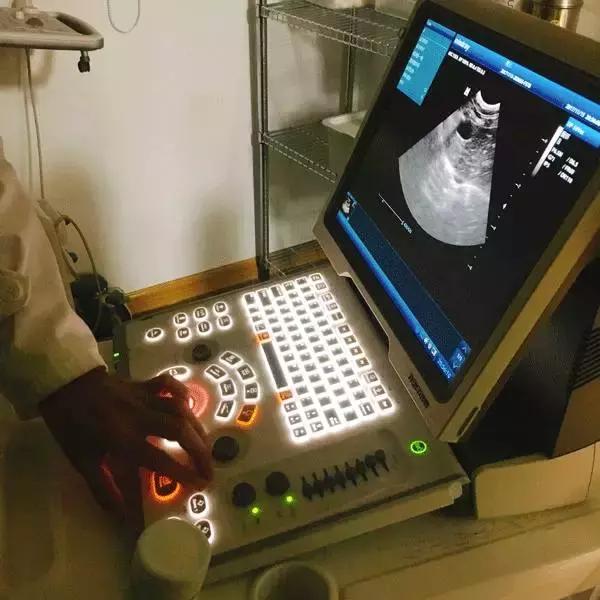 中国为什么没有正规的宠物医院,国内靠谱的宠物医院