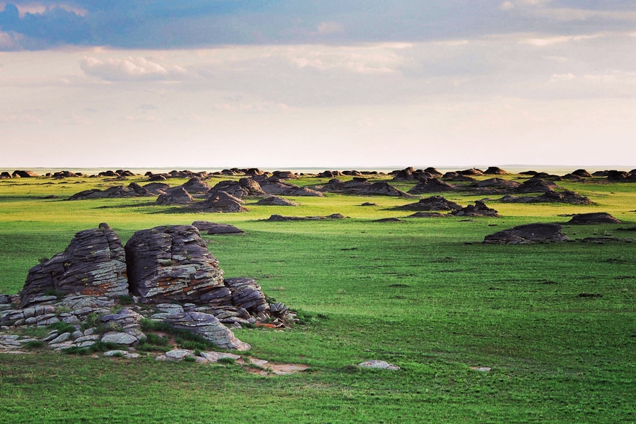 我从草原来温暖你心怀完整版,我从草原来温暖你心怀歌词