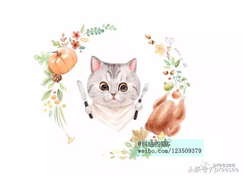 北京｜爱猫却不能亲近，于是她画出了一群萌猫