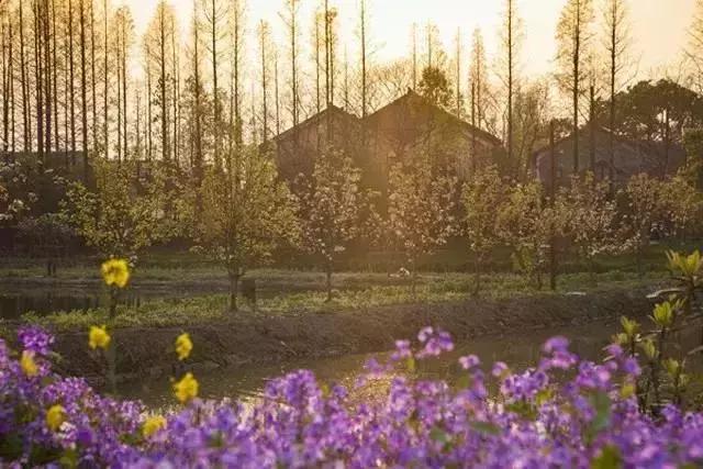 乌村生态园,乌山农家乐和休闲农庄