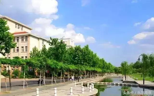 南京哪些大学毕业工资高,南京各大学毕业5年后待遇