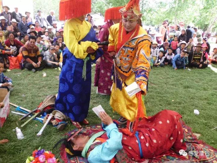 雪山上的红牡丹,藏族雪山上的红牡丹