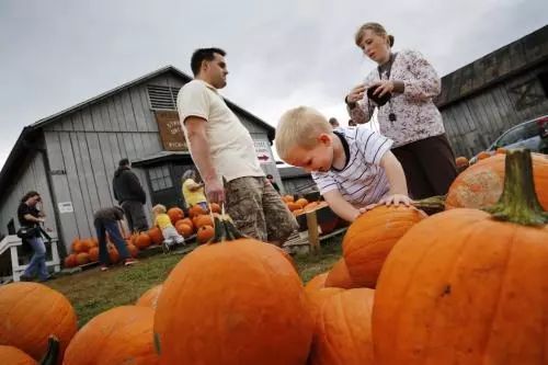 人们在感恩节上会吃什么,感恩节吃爆米花原因