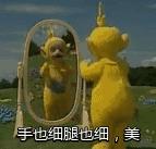 哈哈哈，原谅我拖拉机般的笑声！当喵星人被蜜蜂蜇了之后