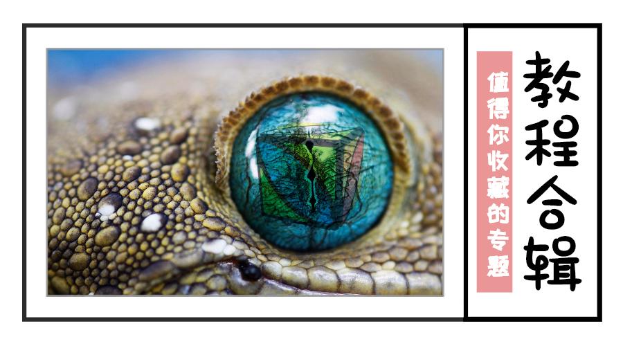 涓夐樁寮傚舰榄旀柟杩樺師鏁欑▼瀹屾暣,鏂滆浆寮傚舰榄旀柟杩樺師鏁欑▼