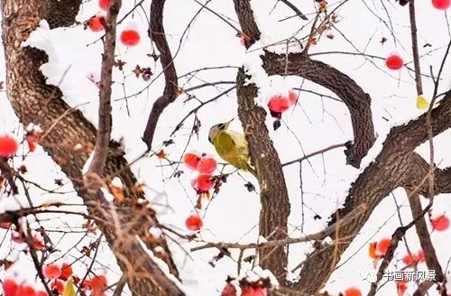 白里透红美颜,白里透红娇颜