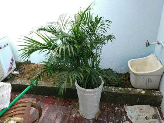 80后斜杠青年装修爆改姑苏民居找寻属于他的诗和远方