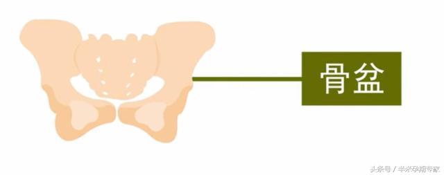 影响胎儿分娩的因素,护考影响分娩的因素