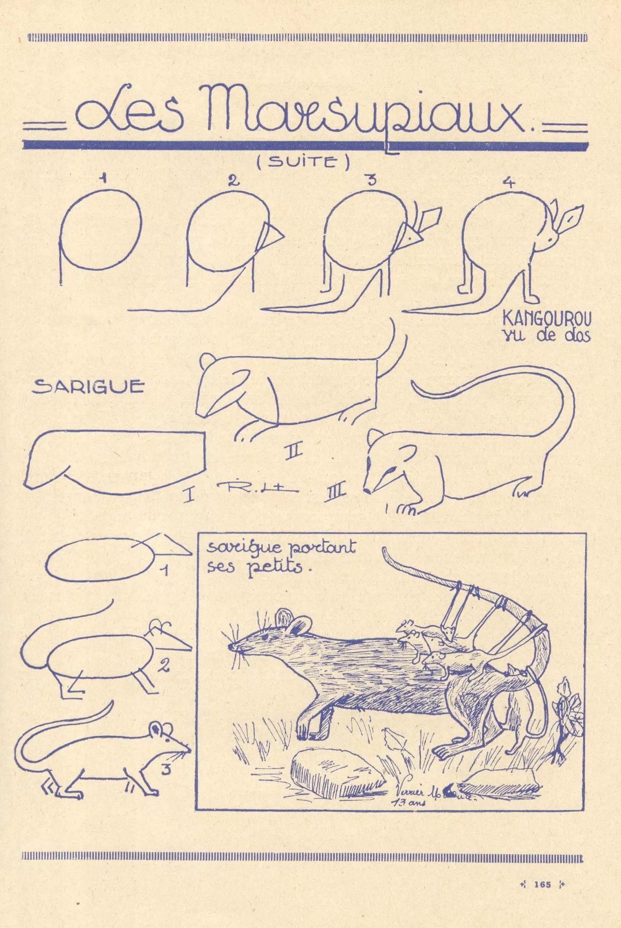 100个超简单的简笔画,2000个超详细简笔画教程