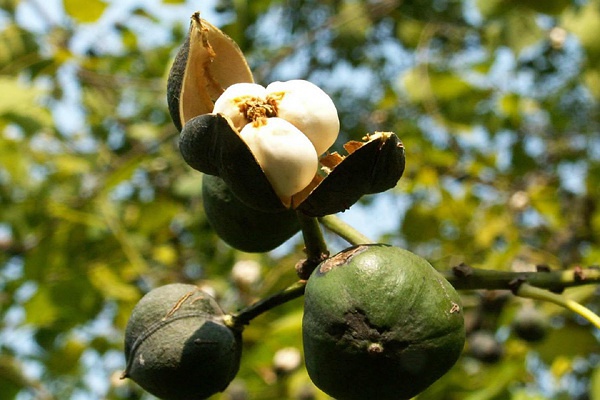 装修设计涂料,家居设计导读