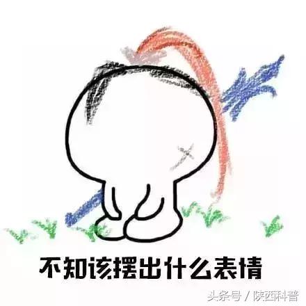 撕开“保健圣品”的美丽外衣之后……