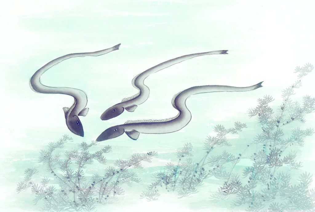 谢坤看到垂钓者,谢坤湖南渔鼓