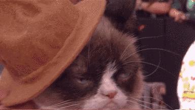 每次去电影院都要遇到的奇葩情侣,每次去电影院出来就头疼