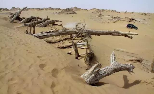 徒步能遇见更好的自己,徒步才能感受到的自然美景