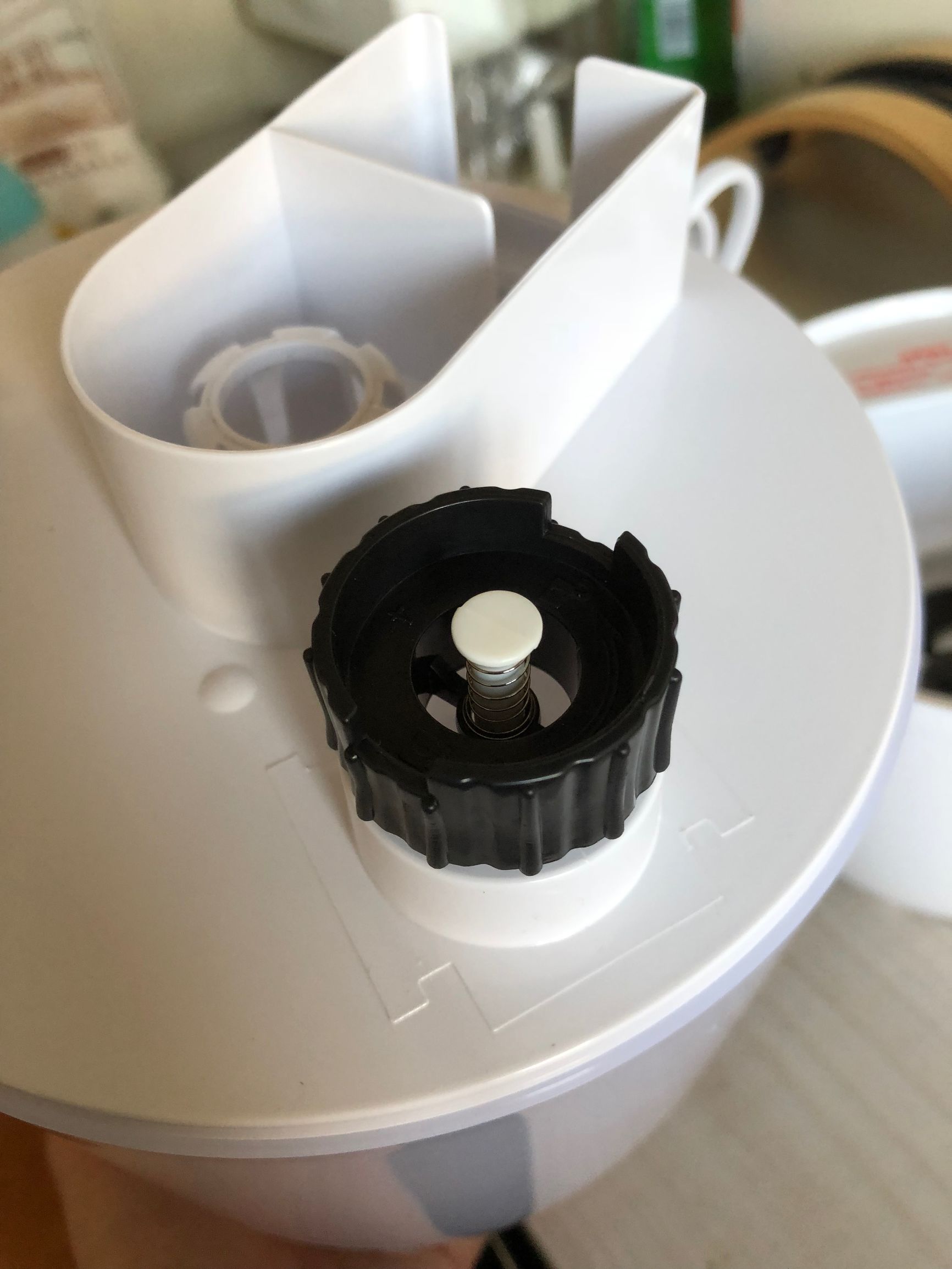 开箱小熊软木板,开箱小熊柏香