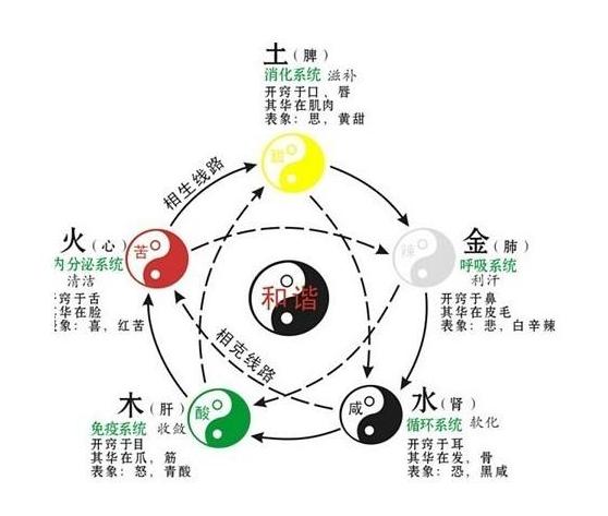 根据出生时间推算人的体质,出生月份与体质的关系